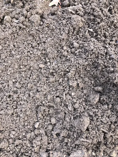 Screened Topsoil at Evergreen Landscape Supply, Branford CT